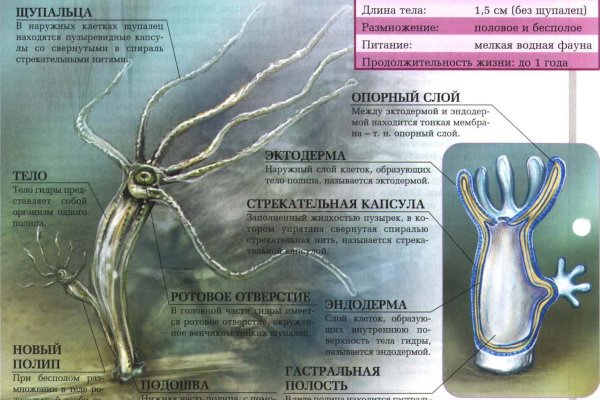 Кракен зайти