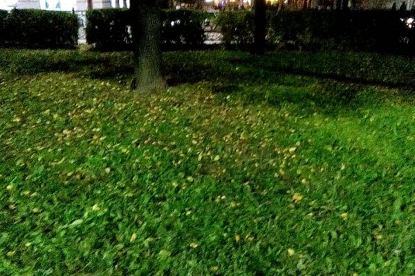 Не могу зайти в аккаунт кракен